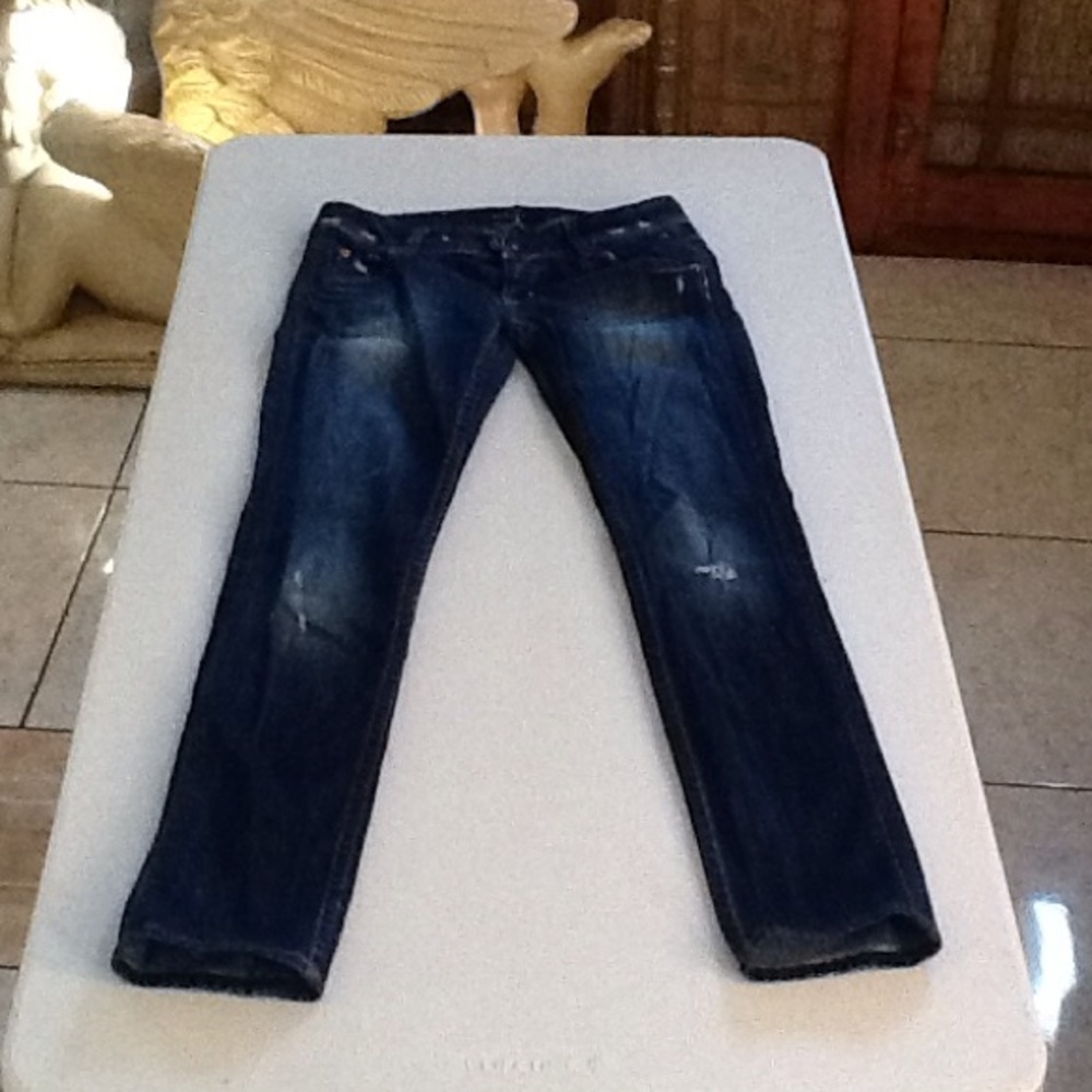 HUDSON Jeans Skinny Distressed Size 24
